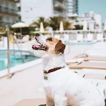 Hotel Bristol