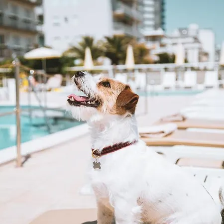 Ξενοδοχείο Bristol